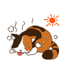 Mi-ke, the Calico Cat（個別スタンプ：6）