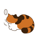 Mi-ke, the Calico Cat（個別スタンプ：11）