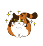 Mi-ke, the Calico Cat（個別スタンプ：12）