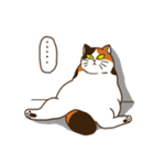 Mi-ke, the Calico Cat（個別スタンプ：14）