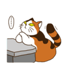 Mi-ke, the Calico Cat（個別スタンプ：27）