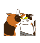 Mi-ke, the Calico Cat（個別スタンプ：34）