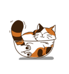 Mi-ke, the Calico Cat（個別スタンプ：36）