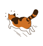 Mi-ke, the Calico Cat（個別スタンプ：40）