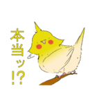 オカメインコ お・か・め（個別スタンプ：4）