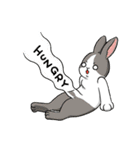 Rabbit with Mask2 (English)（個別スタンプ：15）