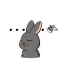 Rabbit with Mask2 (English)（個別スタンプ：31）