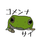 カエル！かえる！蛙！（個別スタンプ：26）