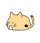 まんじゅうねこ（個別スタンプ：13）
