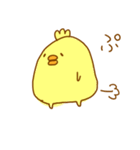 ぴよ日和（個別スタンプ：1）