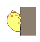 ぴよ日和（個別スタンプ：2）