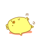 ぴよ日和（個別スタンプ：12）