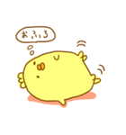 ぴよ日和（個別スタンプ：13）