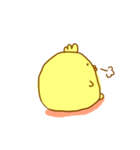 ぴよ日和（個別スタンプ：24）