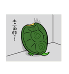 Hey~Turtle turtle！（個別スタンプ：2）