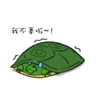 Hey~Turtle turtle！（個別スタンプ：4）