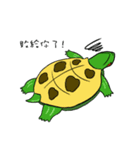 Hey~Turtle turtle！（個別スタンプ：5）