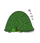 Hey~Turtle turtle！（個別スタンプ：6）