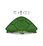 Hey~Turtle turtle！（個別スタンプ：8）