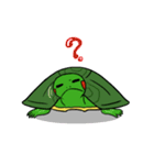 Hey~Turtle turtle！（個別スタンプ：10）