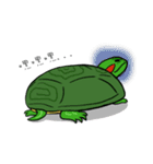 Hey~Turtle turtle！（個別スタンプ：15）