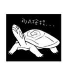 Hey~Turtle turtle！（個別スタンプ：16）