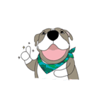 Steve the Dog（個別スタンプ：7）