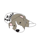 Steve the Dog（個別スタンプ：13）