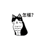 Cat MeiMei（個別スタンプ：1）