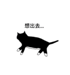 Cat MeiMei（個別スタンプ：2）