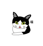 Cat MeiMei（個別スタンプ：3）