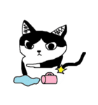Cat MeiMei（個別スタンプ：5）