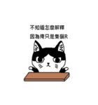 Cat MeiMei（個別スタンプ：6）