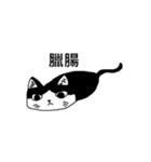 Cat MeiMei（個別スタンプ：10）