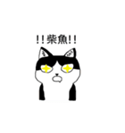 Cat MeiMei（個別スタンプ：11）