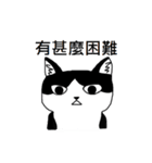 Cat MeiMei（個別スタンプ：15）