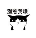 Cat MeiMei（個別スタンプ：19）