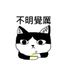 Cat MeiMei（個別スタンプ：21）