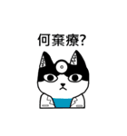 Cat MeiMei（個別スタンプ：40）