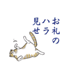 晴れるかにゃ Ver.2（個別スタンプ：26）