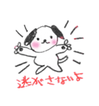 ネコよりも犬派。たれ耳ケン。（個別スタンプ：1）