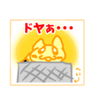 雑味の無い清純派子猫（個別スタンプ：25）