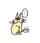 ぷっくりにゃんこ（個別スタンプ：31）