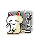 わからんネコ2（個別スタンプ：11）
