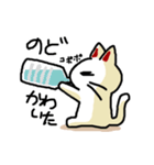 わからんネコ2（個別スタンプ：20）