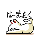 わからんネコ2（個別スタンプ：23）