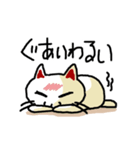 わからんネコ2（個別スタンプ：38）