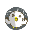 ぴよよん（個別スタンプ：15）