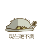 ぴよよん（個別スタンプ：24）