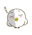 ぴよよん（個別スタンプ：39）